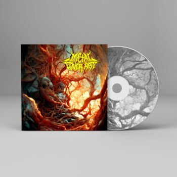 Innards Decay Metal Cover Artwork - 041