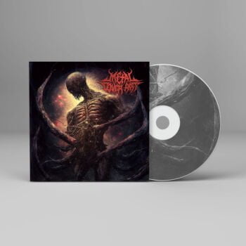 Anticosmic Overload Metal Cover Artwork - 308