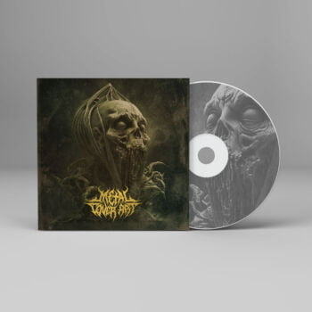 Rot in Agony Metal Cover Artwork - 372