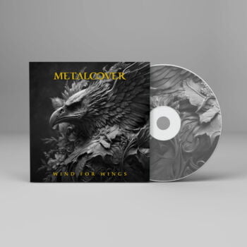 Wind for Wings Metal Cover Artwork - 456