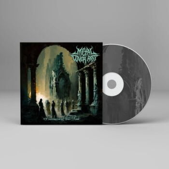 Shadows of the Past - Metal Cover Artwork - 491