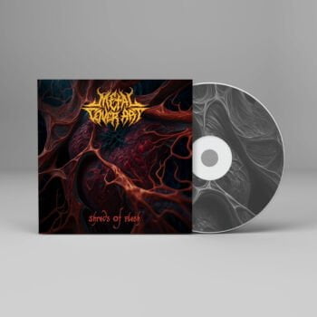 Shreds of Flesh - Metal Cover Artwork - 505