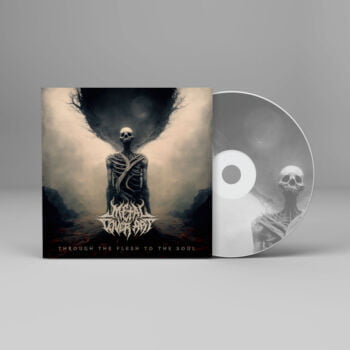 Through the Flesh to the Soul - Metal Cover Artwork - 512