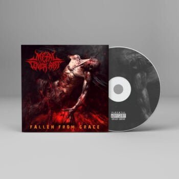 Fallen From Grace - Metal Cover Artwork - 531