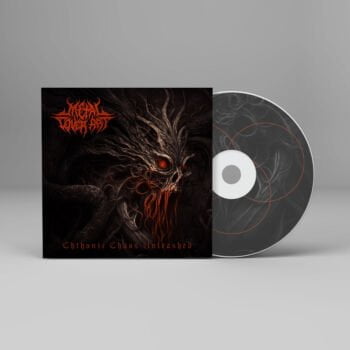 Chthonic Chaos Unleashed - Metal Cover Artwork - 654