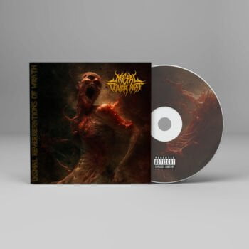 Dismal Reverberations of Wrath - Metal Cover Artwork - 672