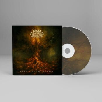 From Ashes We Emerge - Metal Cover Artwork - 674