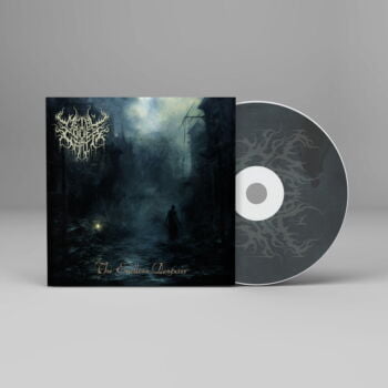 The Endless Despair - Metal Cover Artwork - 700