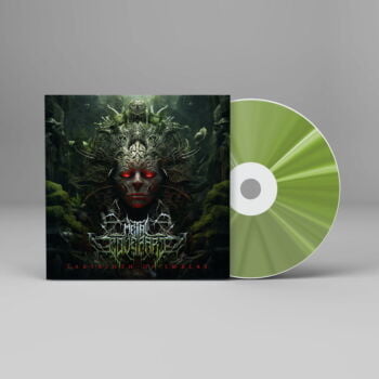 Labyrinth of Embers - Metal Cover Artwork - 701