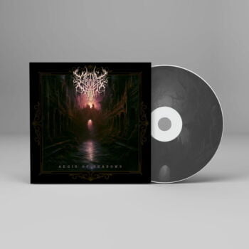 Aegis of Shadows- Metal Cover Artwork - 702