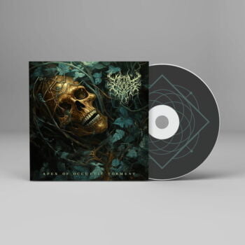 Apex of Occultic Torment - Metal Cover Artwork - 730