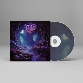 Lamentations of the Forsaken - Metal Cover Artwork - 736