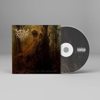 Cryptic Dirge of the Hollow - Metal Cover Artwork - 766