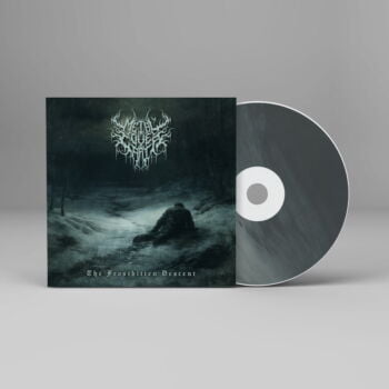 The Frostbitten Descent - Metal Cover Artwork - 767