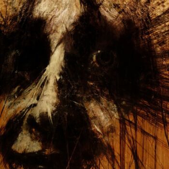 Suffocating Dreams of Desolation