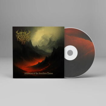 Shadows of the Soulless Dawn - Metal Cover Artwork - 794