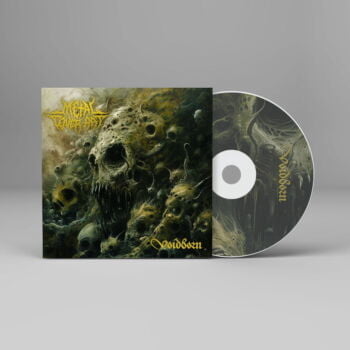 Voidborn - Metal Cover Artwork - 796