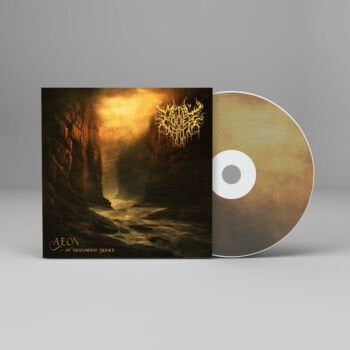 Aeon of Despondent Silence - Metal Cover Artwork - 804