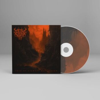 Void of Eternal Desolation - Metal Cover Artwork - 805