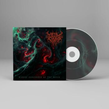 Binary Serenades of the Abyss - Metal Cover Artwork - 834