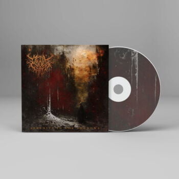 Serenity in the Shadows - Metal Cover Artwork - 853