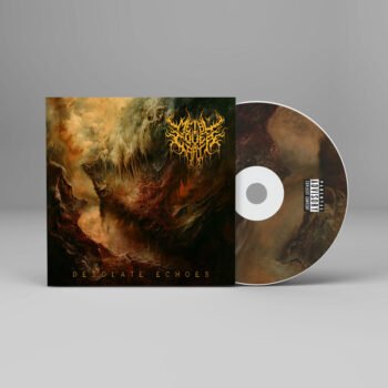 Desolate Echoes - Metal Cover Artwork - 911