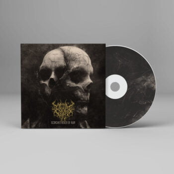 Scorched Realm of Ruin - Metal Cover Artwork - 913