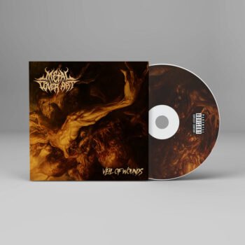 Veil of Wounds - Metal Cover Artwork - 914
