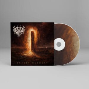 Broken Harmony - Metal Cover Artwork - 925