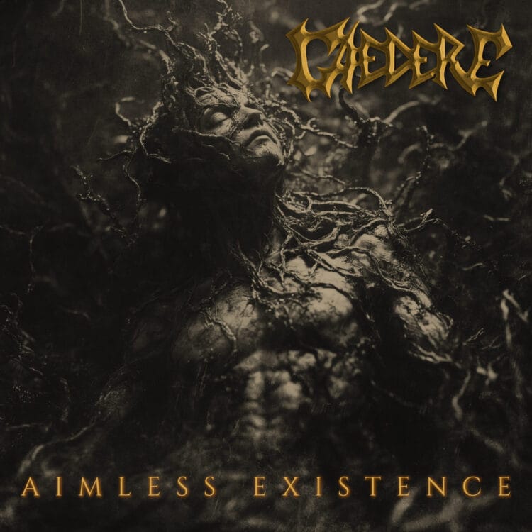 Aimless Existence - Ceadere